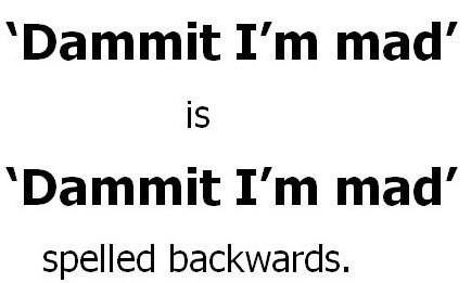 words that are the same backwards
